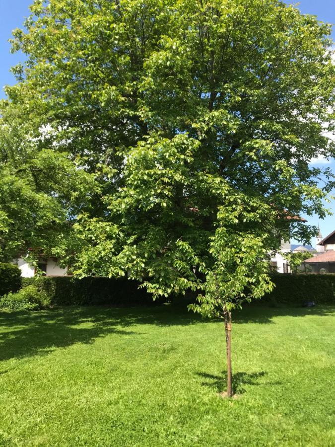 Villa Nussbaum Golling an der Salzach Eksteriør bilde